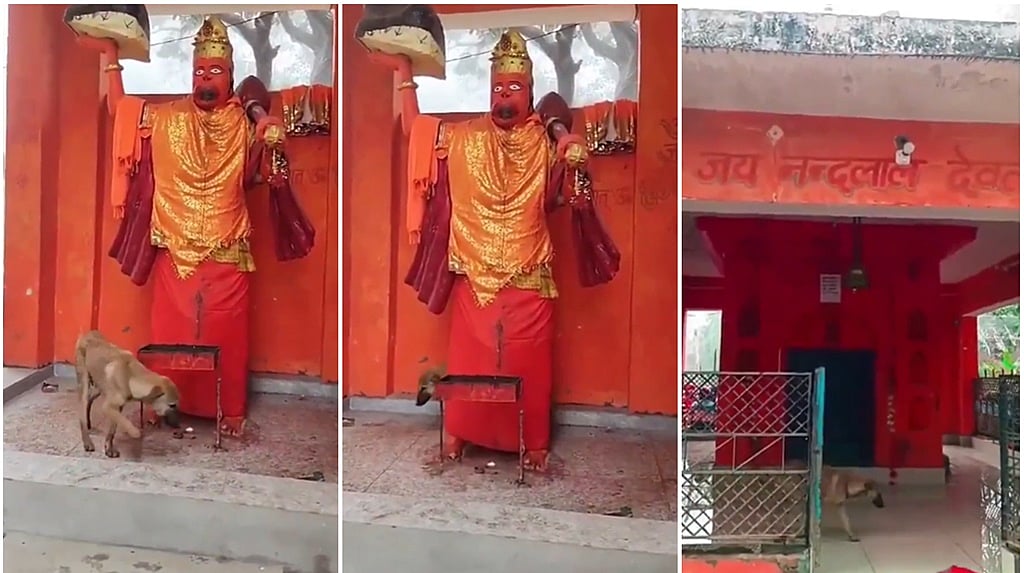 ಬಿಜ್ನೋರ್‌ ದೇವಾಲಯದಲ್ಲೊಂದು ವಿಚಿತ್ರ ಘಟನೆ: ಸತತ 4 ದಿನದಿಂದ ಹನುಮನ ಪ್ರತಿಮೆಗೆ ಪ್ರದಕ್ಷಿಣೆ ಹಾಕುತ್ತಿರುವ ಶ್ವಾನ; ವೀಡಿಯೋ ವೈರಲ್