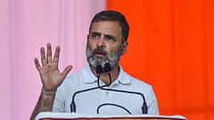 'ವೋಟ್ ಚೋರಿ ದೇಶ ವಿರೋಧಿ ಕೃತ್ಯ': ಅಳಿಸಬಹುದಾದ ಶಾಯಿ ವಿವಾದದ ಬಗ್ಗೆ ರಾಹುಲ್ ಗಾಂಧಿ