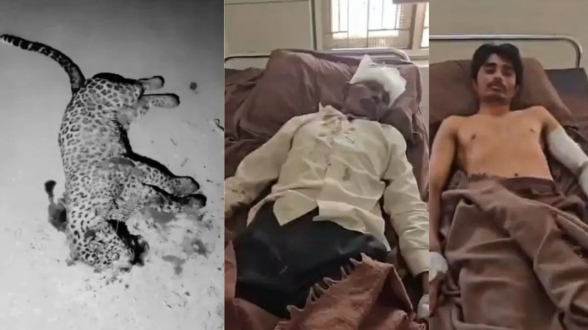 'ಮನ ಮೆಚ್ಚಿದ ಅಪ್ಪ': ಮಗನ ಜೀವ ಉಳಿಸಲು ಜೀವನ್ಮರಣ ಹೋರಾಟ, ಚಿರತೆಯನ್ನು ಬಡಿದು ಕೊಂದ ತಂದೆ