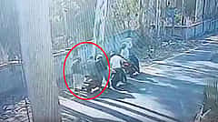 ಬೆಂಗಳೂರು: ಬನ್ನೇರುಘಟ್ಟದಲ್ಲಿ ಸಿನಿಮಾ ಶೈಲಿಯಲ್ಲಿ ದರೋಡೆ; ಯುವಕನಿಗೆ ಲಾಂಗ್ ತೋರಿಸಿ ಬೆದರಿಕೆ, 31 ಲಕ್ಷ ರೂ ಲೂಟಿ..! Video