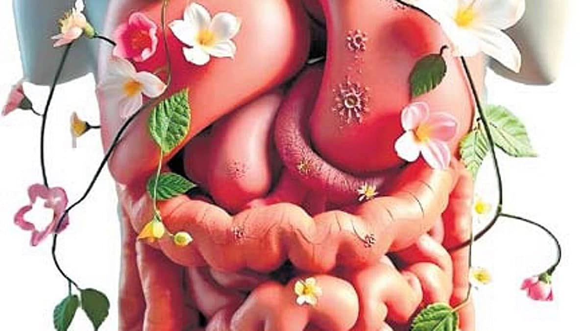 ಕರುಳಿನಲ್ಲಿರುವ ಆರೋಗ್ಯಕಾರಕ ಸೂಕ್ಷ್ಮಾಣುಜೀವಿಗಳು (ಕುಶಲವೇ ಕ್ಷೇಮವೇ)