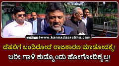 Watch | ದೆಹಲಿಗೆ ಬಂದಿರೋದೆ ರಾಜಕಾರಣ ಮಾಡೋದಕ್ಕೆ! ಬರೀ ಗಾಳಿ ಕುಡ್ಕೊಂಡು ಹೋಗೋದಿಕ್ಕಲ್ಲ!