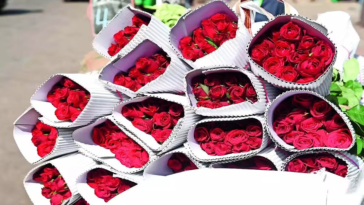 Valentine's Day 2026: ಈ ಬಾರಿ ಪ್ರೇಮಿಗಳ ದಿನಕ್ಕೆ ಬೆಂಗಳೂರಿನಿಂದ 6 ಕೋಟಿ ಗುಲಾಬಿ ರಫ್ತು..!