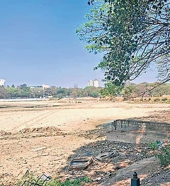 ಒಂದು ಭಾಗದಿಂದ ಕಾಣುತ್ತಿರುವ ಒಣಗಿದ ಕೆರೆಯ ತಳಭಾಗ