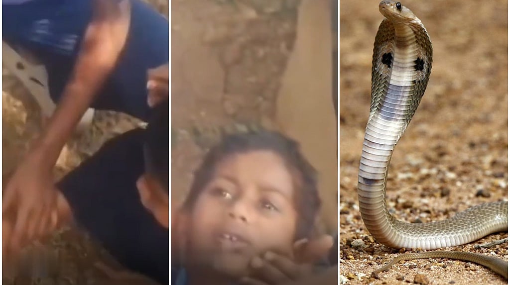 ಶಾಲಾ ಆವರಣದಲ್ಲಿ ಊಟ ಮಾಡುತ್ತಿದ್ದ ವಿದ್ಯಾರ್ಥಿಗೆ ಹಾವು ಕಡಿತ: ಸಿನಿಮೀಯ ಶೈಲಿಯಲ್ಲಿ ವಿಷ ಹೀರಿ ಬದುಕಿಸಿದ ಶಿಕ್ಷಕ..!