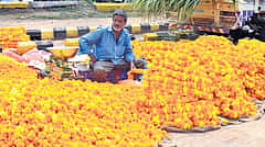 ಗದಗದಲ್ಲಿ ಅಕಾಲಿಕ ಮಳೆ: ಹೂ ಬೆಳೆಗಾರರಿಗೆ ಭಾರೀ ನಷ್ಟ, ಸಂಕಷ್ಟದಲ್ಲಿ ರೈತರು.!