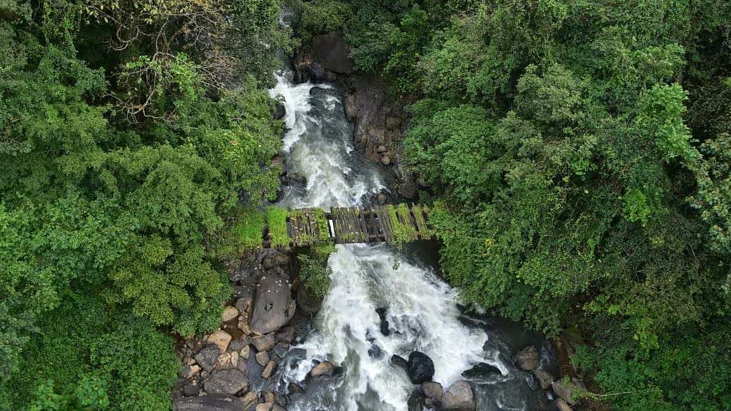 (ಸಂಗ್ರಹ ಚಿತ್ರ)