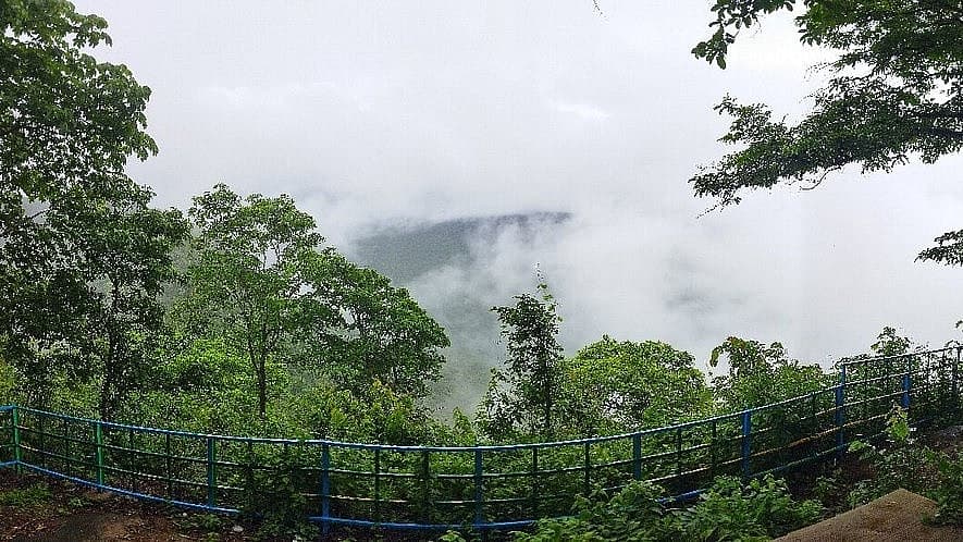 ಜೇನುಕಲ್ ಗುಡ್ಡ ಬೆಟ್ಟ (ಸಂಗ್ರಹ ಚಿತ್ರ)