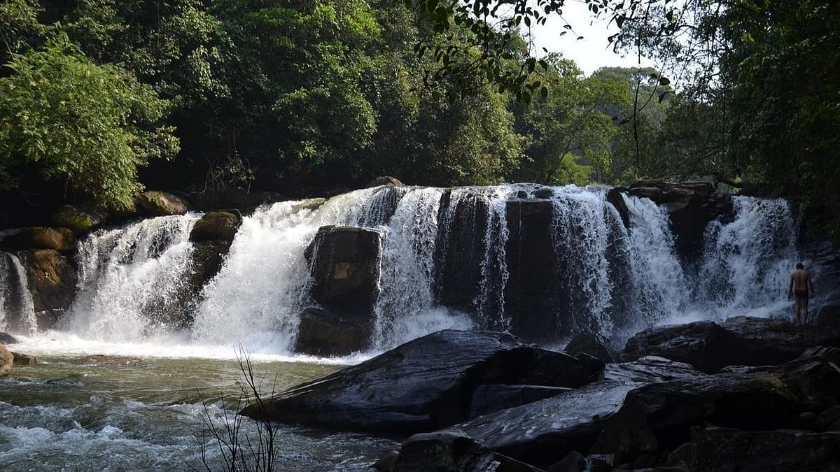 ಮೂಕನಮನೆ ಜಲಪಾತ (ಸಂಗ್ರಹ ಚಿತ್ರ)