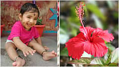 ಮೈಸೂರು: ಹೊಸ್ತಿಲ ಮೇಲಿದ್ದ ದಾಸವಾಳ ನುಂಗಿ ಆರು ತಿಂಗಳ ಮಗು ಸಾವು!