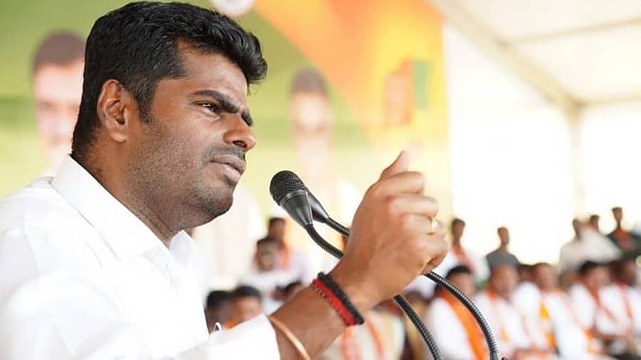 'ಚುನಾವಣೆಯಲ್ಲಿ ಸ್ಪರ್ಧಿಸದಿರಲು ನಾನೇ ನಿರ್ಧರಿಸಿದೆ': ಟಿಕೆಟ್ ನಿರಾಕರಣೆ ವದಂತಿಗೆ ಅಣ್ಣಾಮಲೈ ಸ್ಪಷ್ಟನೆ