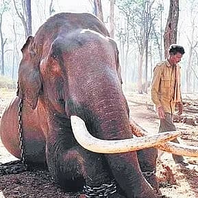 Story image