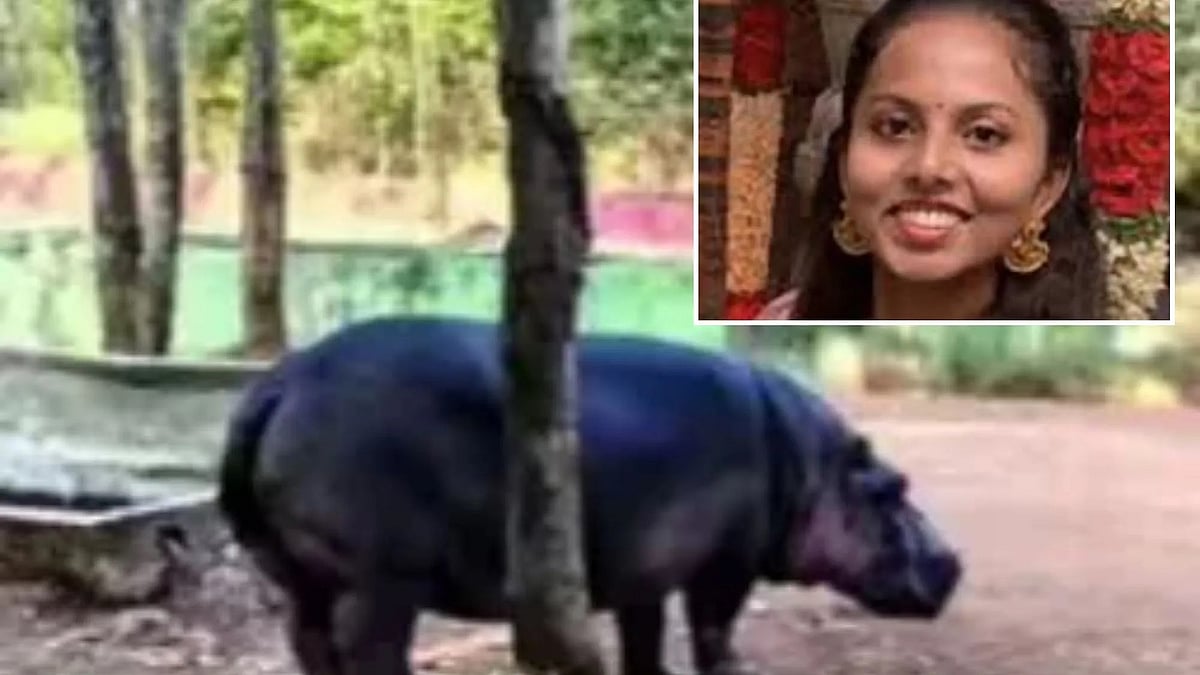 ಶಿವಮೊಗ್ಗ: ಪಶುವೈದ್ಯೆ ಸಮೀಕ್ಷಾ ಸಾವಿಗೆ ಕಾರಣವಾಗಿದ್ದ ನೀರಾನೆಯ ಮರಿ ಗರ್ಭದಲ್ಲೇ ಸಾವು!