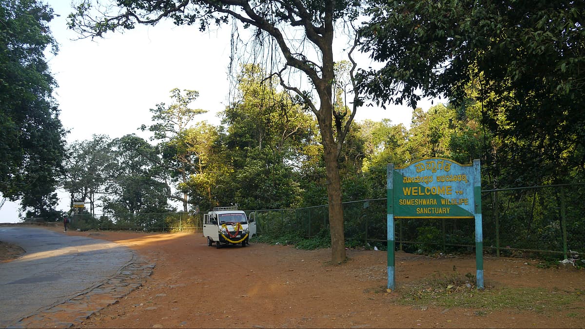 ಸೋಮೇಶ್ವರ ವನ್ಯಜೀವಿ ಅಭಯಾರಣ್ಯ