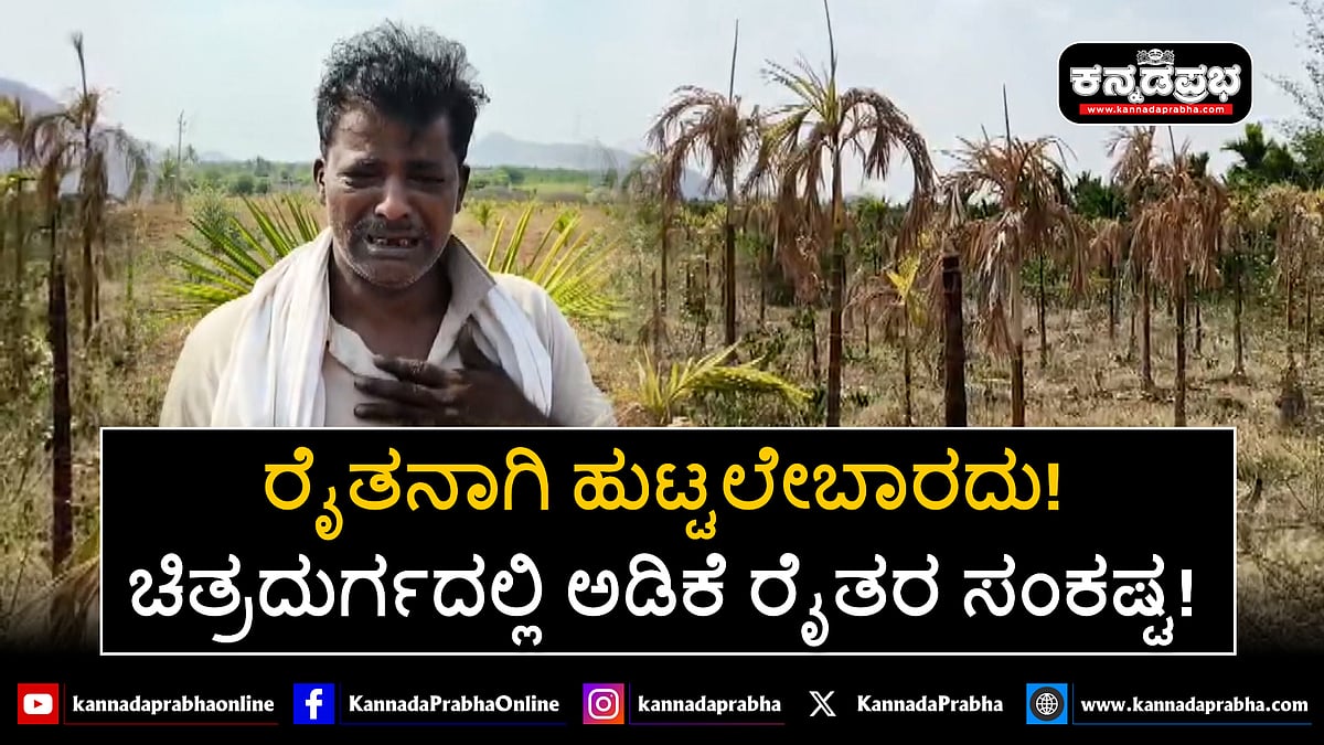 Watch | ರೈತನಾಗಿ ಹುಟ್ಟಲೇಬಾರದು: ಚಿತ್ರದುರ್ಗದಲ್ಲಿ ಅಡಿಕೆ ರೈತರ ಸಂಕಷ್ಟ!