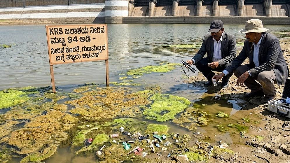 KRS ಜಲಾಶಯದಲ್ಲಿ 94 ಅಡಿ ತಲುಪಿದ ನೀರಿನ ಮಟ್ಟ: ನೀರಿನ ಕೊರತೆ, ಗುಣಮಟ್ಟದ ಬಗ್ಗೆ ತಜ್ಞರು ಕಳವಳ