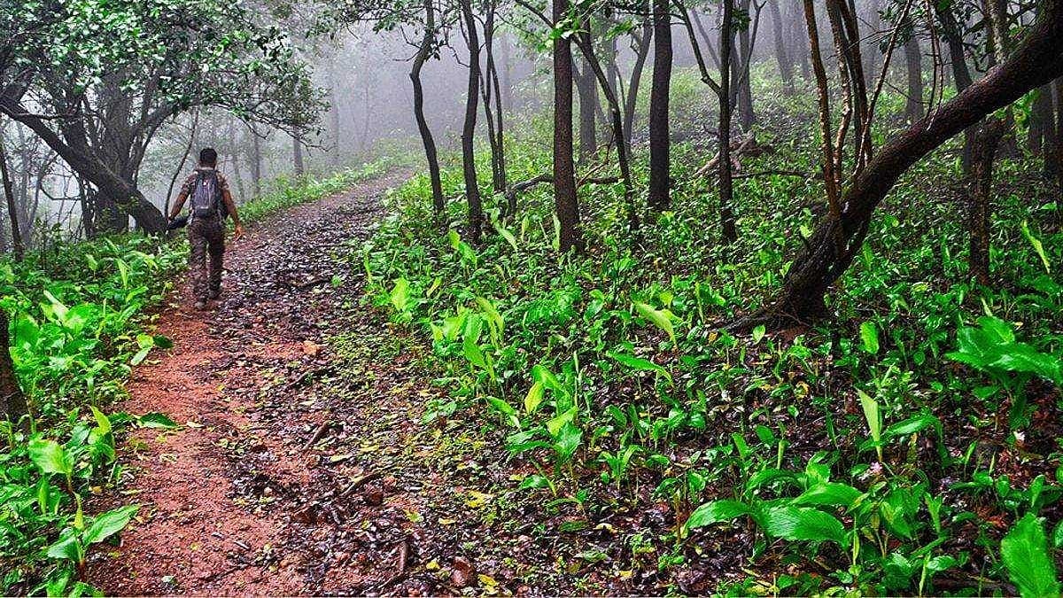 ಸಂಗ್ರಹ ಚಿತ್ರ