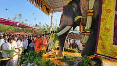ಹಾಸನ: ದಸರಾ ಖ್ಯಾತಿಯ ಅರ್ಜುನ ಆನೆಯ ಸ್ಮಾರಕ ಲೋಕಾರ್ಪಣೆ!