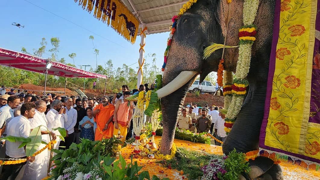 ಹಾಸನ: ದಸರಾ ಖ್ಯಾತಿಯ ಅರ್ಜುನ ಆನೆಯ ಸ್ಮಾರಕ ಲೋಕಾರ್ಪಣೆ!