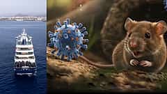 Hantavirus: ಮನೆಗೆ ಮರಳಿದ ಇಬ್ಬರು ಸೋಂಕಿತರು, ಕ್ವಾರಂಟೈನ್; ಕ್ರೂಸ್ ಶಿಪ್ ಗೆ ವೈರಸ್ ಹರಡಿದ್ದು ಹೇಗೆ?