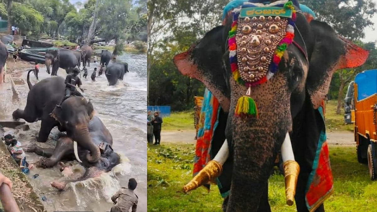ಮಾರ್ತಾಂಡ ಆನೆ ಕೊಂದ ಕಂಜನ್ ದಸರಾದಿಂದ ಶಾಶ್ವತ ನಿಷೇಧ: ಸಚಿವ ಈಶ್ವರ್ ಖಂಡ್ರೆ ಆದೇಶ