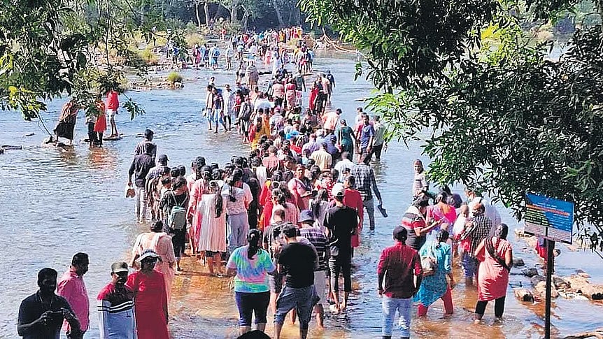ಸಾಕಾನೆ ಕಾದಾಟದಲ್ಲಿ ಸಿಲುಕಿ ಮಹಿಳೆ ಸಾವು: ಪ್ರವಾಸಿಗರಿಗೆ ದುಬಾರೆ ಕ್ಯಾಂಪ್ ನಿರ್ಬಂಧ!