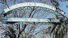 ಆನೇಕಲ್‌ನಲ್ಲಿ ಬೆಂಗಳೂರಿನ 2ನೇ ಅಂತಾರಾಷ್ಟ್ರೀಯ ಕ್ರಿಕೆಟ್ ಸ್ಟೇಡಿಯಂ ನಿರ್ಮಾಣ: ರೈತರು, KRS ತೀವ್ರ ವಿರೋಧ!