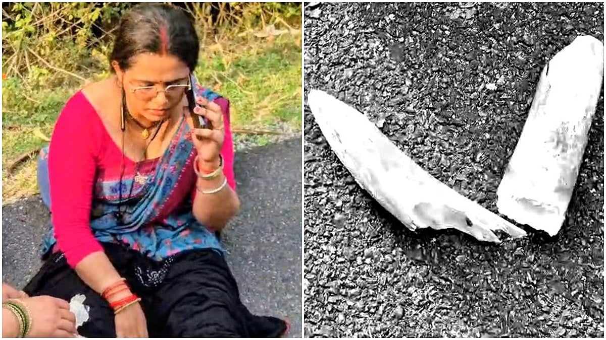 ಓ ಹೆಣ್ಮಗು... moment: ಆನೆಗೆ ಡಿಕ್ಕಿ ಹೊಡೆದು ದಂತ ಮುರಿದ ಮಹಿಳೆ! Video