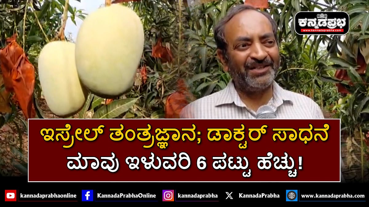Watch | ಇಸ್ರೇಲ್ ತಂತ್ರಜ್ಞಾನ; ಬೆಳಗಾವಿ ಡಾಕ್ಟರ್ ಸಾಧನೆ; ಮಾವು ಇಳುವರಿ 6 ಪಟ್ಟು ಹೆಚ್ಚು!