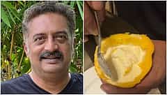 Cockroach Eating Mangoes: 'ಕಾಕ್ರೋಚ್ ಜನತಾ ಪಾರ್ಟಿ ಬೆಂಬಲಿಸಿ ನಟ ಪ್ರಕಾಶ್ ರಾಜ್ ಪೋಸ್ಟ್; ವೈರಲ್!