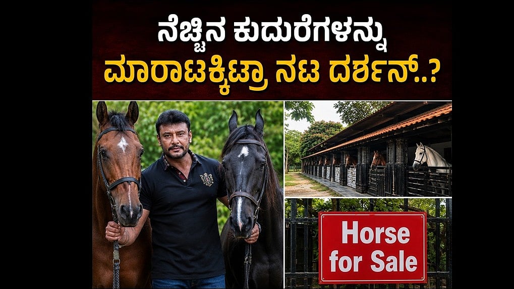 ನಟ ದರ್ಶನ್ ಫಾರ್ಮ್ಹೌಸ್ನಲ್ಲಿ Horse for Sale ಬೋರ್ಡ್; ಫ್ಯಾನ್ಸ್ ಶಾಕ್, ಏನಿದು ಹೊಸ ಸುದ್ದಿ..?