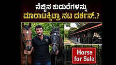 ನಟ ದರ್ಶನ್ ಫಾರ್ಮ್ಹೌಸ್ನಲ್ಲಿ Horse for Sale ಬೋರ್ಡ್; ಫ್ಯಾನ್ಸ್ ಶಾಕ್, ಏನಿದು ಹೊಸ ಸುದ್ದಿ..?