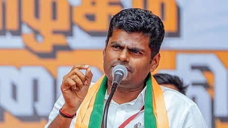 ಅಣ್ಣಾಮಲೈ ರಾಜೀನಾಮೆ ಕೊನೆಗೂ ಅಂಗೀಕಾರ: ಆರು ವರ್ಷಗಳ ಬಿಜೆಪಿ ಸಂಬಂಧಕ್ಕೆ ತಿಲಾಂಜಲಿ!
