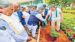 ಕೆಂಪೇಗೌಡ ಜಯಂತಿಯಂದು ರಾಜ್ಯದಲ್ಲಿ 15 ಲಕ್ಷ ಸಸಿ ನೆಡುವ ಕಾರ್ಯಕ್ರಮ: ಡಿ.ಕೆ ಶಿವಕುಮಾರ್