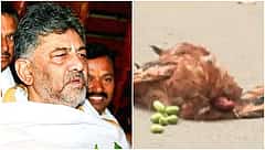 ಸಿಎಂ ಡಿ.ಕೆ ಶಿವಕುಮಾರ್ ನಿವಾಸ ಬಳಿ ವಾಮಚಾರ ಪ್ರಯೋಗ ಶಂಕೆ: ತನಿಖೆಗಿಳಿದ ಪೊಲೀಸರು