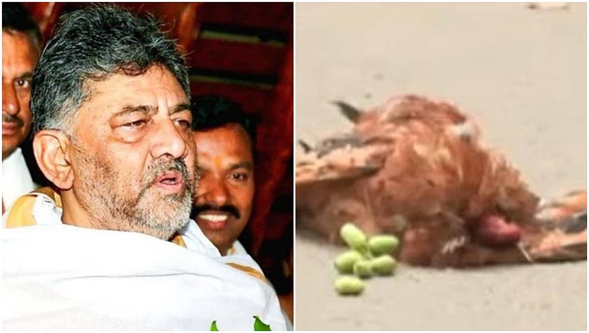 ಸಿಎಂ ಡಿ.ಕೆ ಶಿವಕುಮಾರ್ ನಿವಾಸ ಬಳಿ ವಾಮಚಾರ ಪ್ರಯೋಗ ಶಂಕೆ: ತನಿಖೆಗಿಳಿದ ಪೊಲೀಸರು