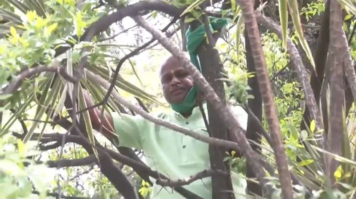 ವಿಧಾನಸೌಧ ಆವರಣದಲ್ಲಿರುವ ಮರಕ್ಕೆ ನೇಣು ಬಿಗಿದುಕೊಂಡು ಚಿಕ್ಕಮಗಳೂರಿನ ರೈತ ಆತ್ಮಹತ್ಯೆಗೆ ಯತ್ನ!