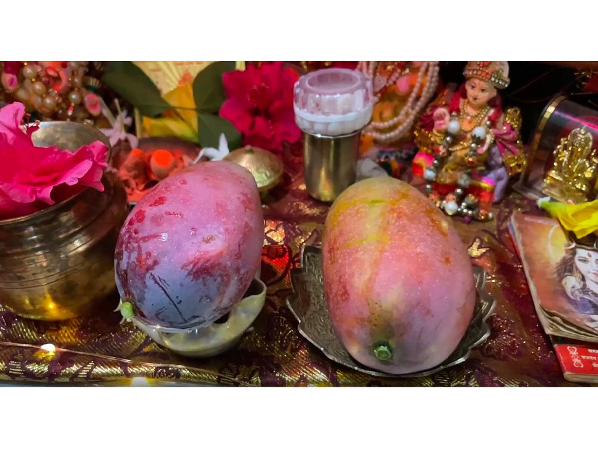ಅಯೋಧ್ಯೆಯ ಶ್ರೀರಾಮನಿಗೆ ವಿಶ್ವದ ಅತ್ಯಂತ ದುಬಾರಿ ಮಾವಿನ ಹಣ್ಣು ಅರ್ಪಿಸಿದ ಭಕ್ತ; ಈ "ಸೂರ್ಯನ ಮೊಟ್ಟೆ" ಬೆಲೆ ಎಷ್ಟು ಗೊತ್ತಾ?