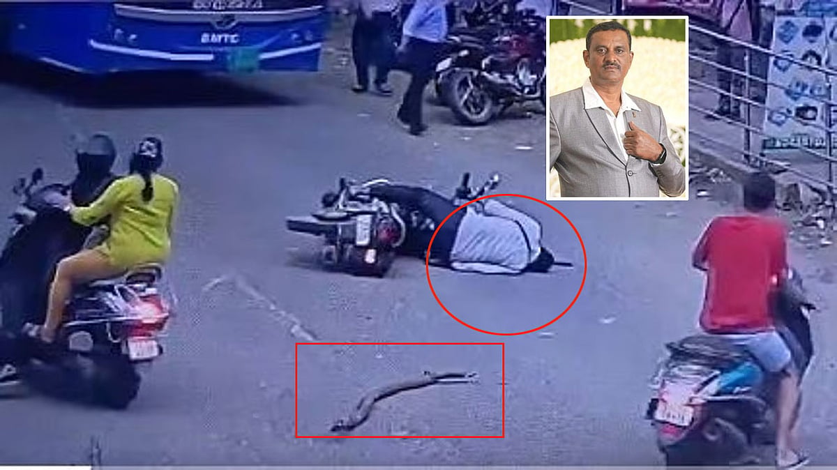 Bengaluru: ಬೈಕ್ ಚಾಲಕನ ತಲೆ ಮೇಲೆ ಬಿದ್ದ ರೆಂಬೆ, ಗಂಭೀರ ಗಾಯ ಆಸ್ಪತ್ರೆಗೆ ದಾಖಲು, ಹೆಲ್ಮೆಟ್ ಇದ್ದಿದ್ರೆ!