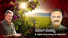 ಇರಾನ್ ಯುದ್ಧದಲ್ಲಿ ಅನಿರೀಕ್ಷಿತ ಗೆಲುವು ಕಂಡ ಕ್ಯಾಲಿಫೋರ್ನಿಯಾದ ಪಿಸ್ತಾಶಿಯೊ ಕಿಂಗ್ಸ್! (ಜಾಗತಿಕ ಜಗಲಿ)