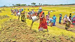 'ಭಾರತದ ಆತ್ಮ' ಹಳ್ಳಿಗಳಲ್ಲಿದೆ ಎಂಬುದು ಮಹಾತ್ಮ ಗಾಂಧಿ ಅಭಿಪ್ರಾಯ: ಹೊಸ ಗ್ರಾಮೀಣ ಉದ್ಯೋಗ ಯೋಜನೆಯಿಂದ ದುರ್ಬಲ ಕಾರ್ಮಿಕರಿಗೆ ಅನ್ಯಾಯ; ಕಾಂಗ್ರೆಸ್
