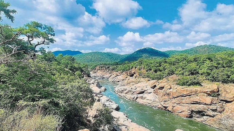 ಮೇಕೆದಾಟು ಯೋಜನೆಗೆ ಬಿಗ್‌ ಬೂಸ್ಟ್‌: ಕಾವೇರಿ ವನ್ಯಜೀವಿ ಧಾಮದಲ್ಲಿ ಬೋರ್‌ವೆಲ್ ಸಮೀಕ್ಷೆಗೆ ಸಿಎಂ ಡಿಕೆ.ಶಿವಕುಮಾರ್ ಗ್ರೀನ್ ಸಿಗ್ನಲ್!