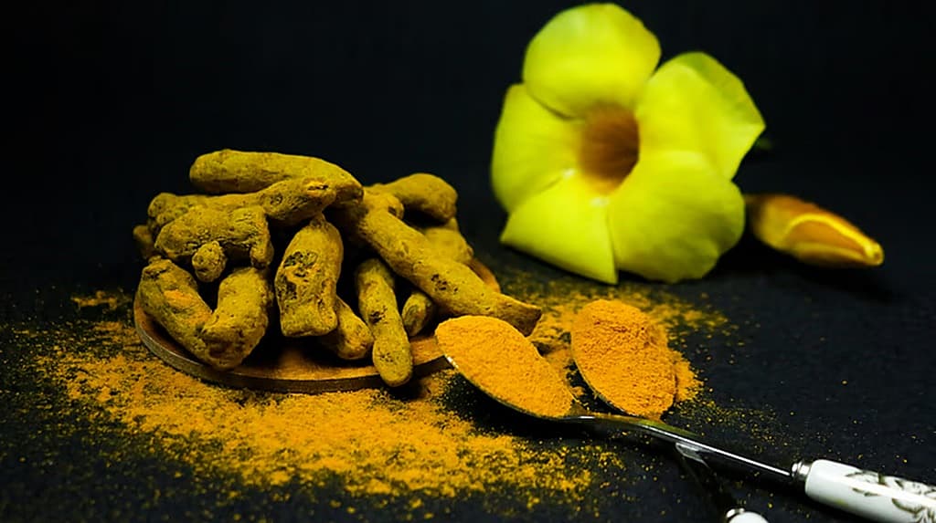 ಸಂಗ್ರಹ ಚಿತ್ರ