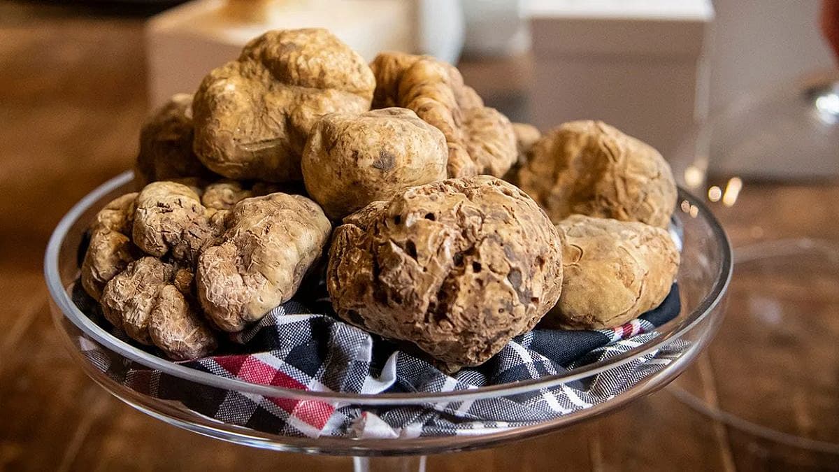 White Truffles