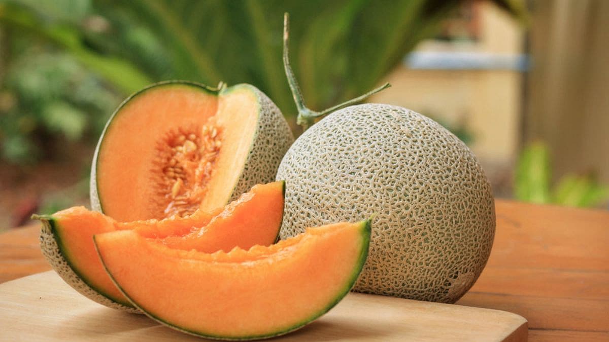 Yubari King Melon