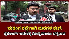 Watch | 'ಸುರಂಗ ರಸ್ತೆ'ಗಾಗಿ ಮರಗಳ ಕಟ್; ಹೈಕೋರ್ಟ್ ಆದೇಶಕ್ಕೆ ತೇಜಸ್ವಿ ಸೂರ್ಯ ಧನ್ಯವಾದ
