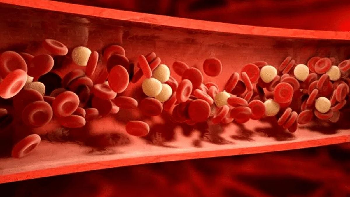 Golden Blood: ಈ ರಕ್ತ ಇರೋದು ಇಡೀ ಜಗತ್ತಿನಲ್ಲಿ ಕೇವಲ 45 ಜನರ ಹತ್ರ ಮಾತ್ರ! ಏನಿದರ ಸ್ಪೆಷಾಲಿಟಿ?