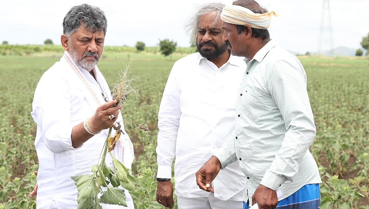 ಚಿತ್ರದುರ್ಗ: ಆಲಮಟ್ಟಿ ಹೊರತಾಗಿ ರಾಜ್ಯದ ಬೇರೆ ಯಾವ ಭಾಗದಲ್ಲೂ ಉತ್ತಮ ಮಳೆ ಇಲ್ಲ- ಸಿಎಂ ಡಿ.ಕೆ ಶಿವಕುಮಾರ್
