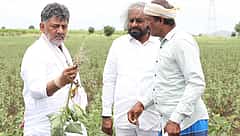 ಚಿತ್ರದುರ್ಗ: ಆಲಮಟ್ಟಿ ಹೊರತಾಗಿ ರಾಜ್ಯದ ಬೇರೆ ಯಾವ ಭಾಗದಲ್ಲೂ ಉತ್ತಮ ಮಳೆ ಇಲ್ಲ- ಸಿಎಂ ಡಿ.ಕೆ ಶಿವಕುಮಾರ್