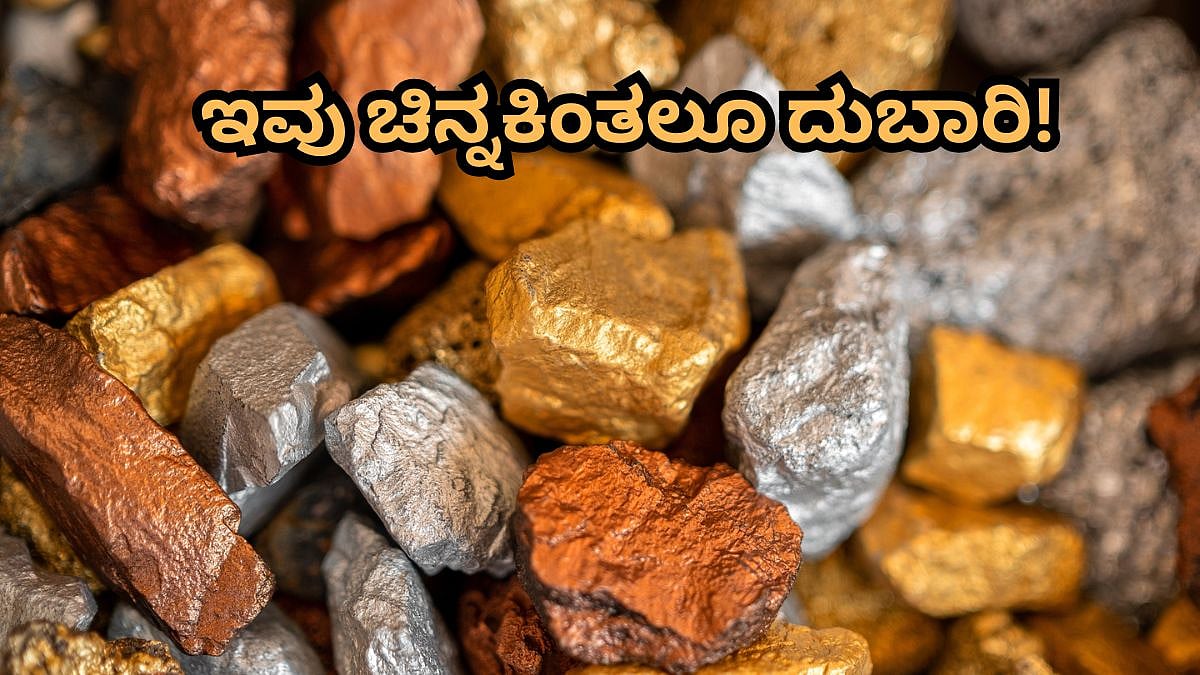 ಇವು ಚಿನ್ನಕ್ಕಿಂತಲೂ Costly; 1 ಗ್ರಾಂ ಬೆಲೆ ಕೋಟಿ ಕೋಟಿ! ಯಾವುವು ಗೊತ್ತಾ?